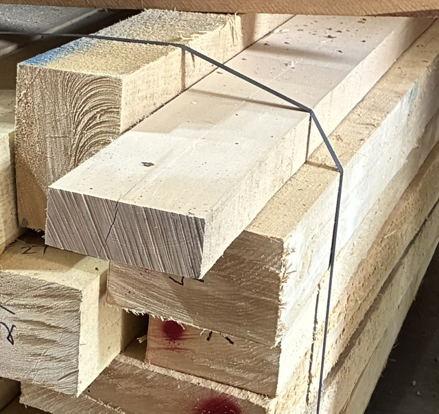 dense basswood
